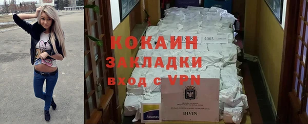 соль ск Новозыбков