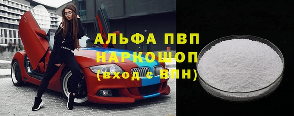 соль ск Новозыбков