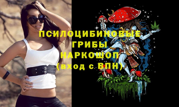 альфа пвп Баксан