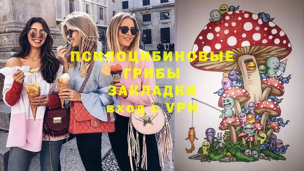 соль ск Новозыбков