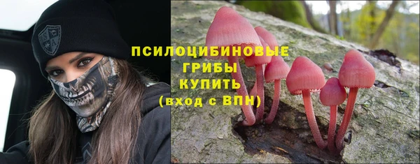 прущие крисы Нея