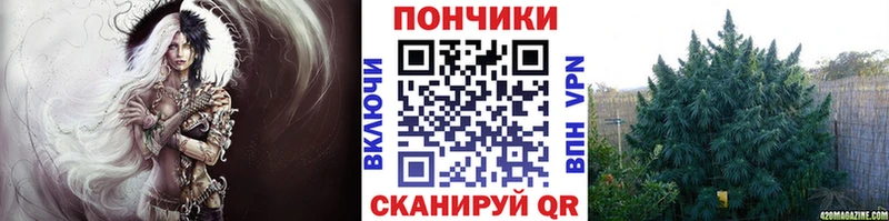 закладка  МЕГА маркетплейс  Шишки марихуана LSD WEED  Шенкурск 